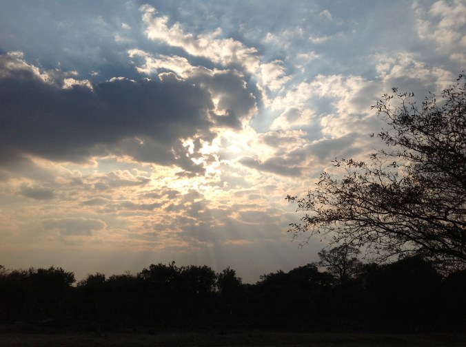 I want to show you pictures of Sarah, but I won't.