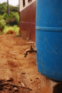 Photo Credit: Amy Jones