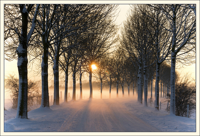 Photo Credit: Bert Kaufmann